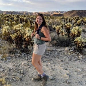 andrea Abroad Cholla Cactus Garden