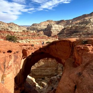 Cassidy Arch