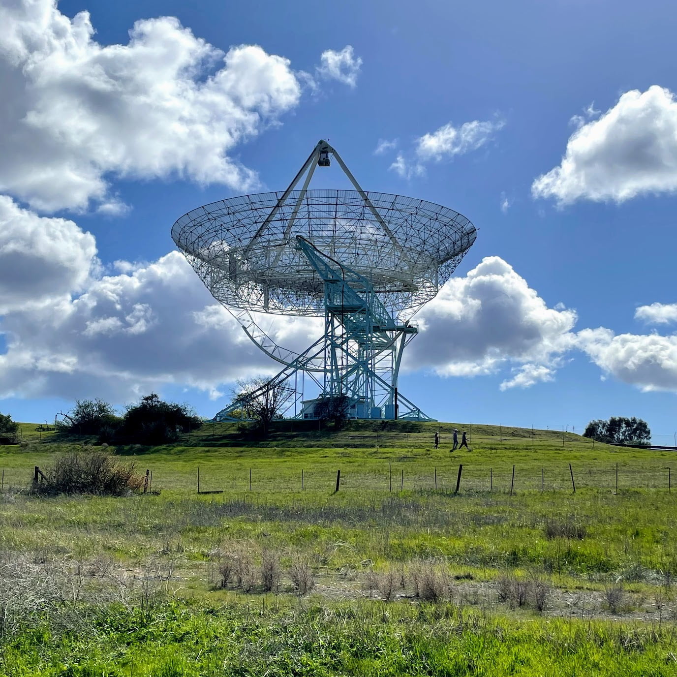 Andrea Abroad Stanford Dish