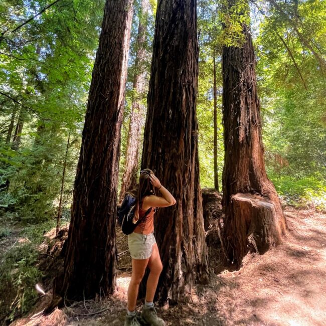 Andrea Abroad Bear Creek Reserve