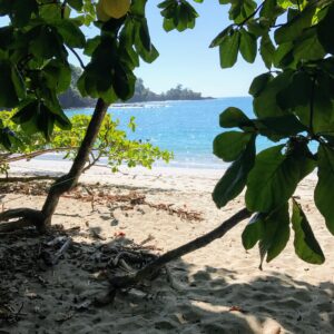 Manuel Antonio