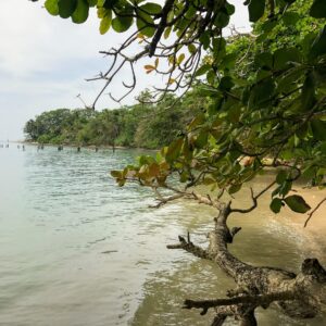 Cahuita