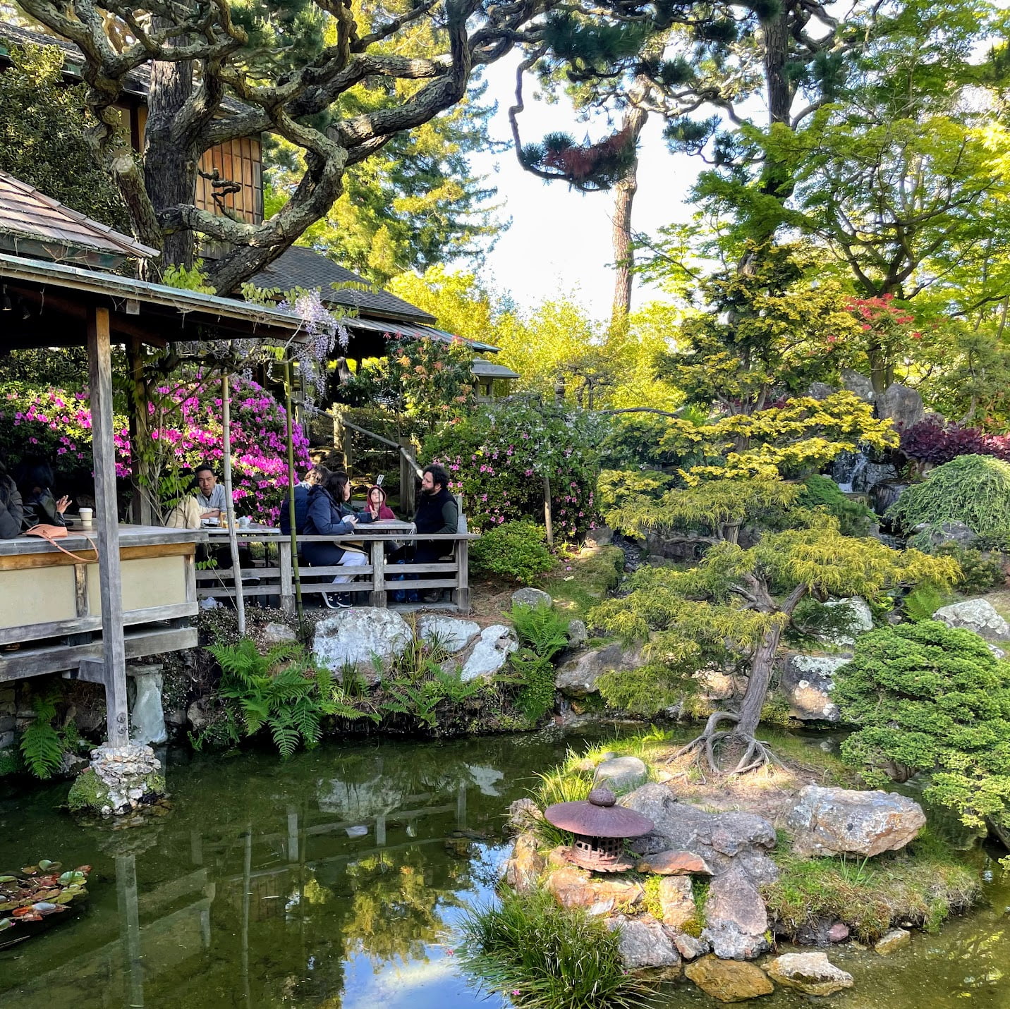 SF Japanese Tea Gardens