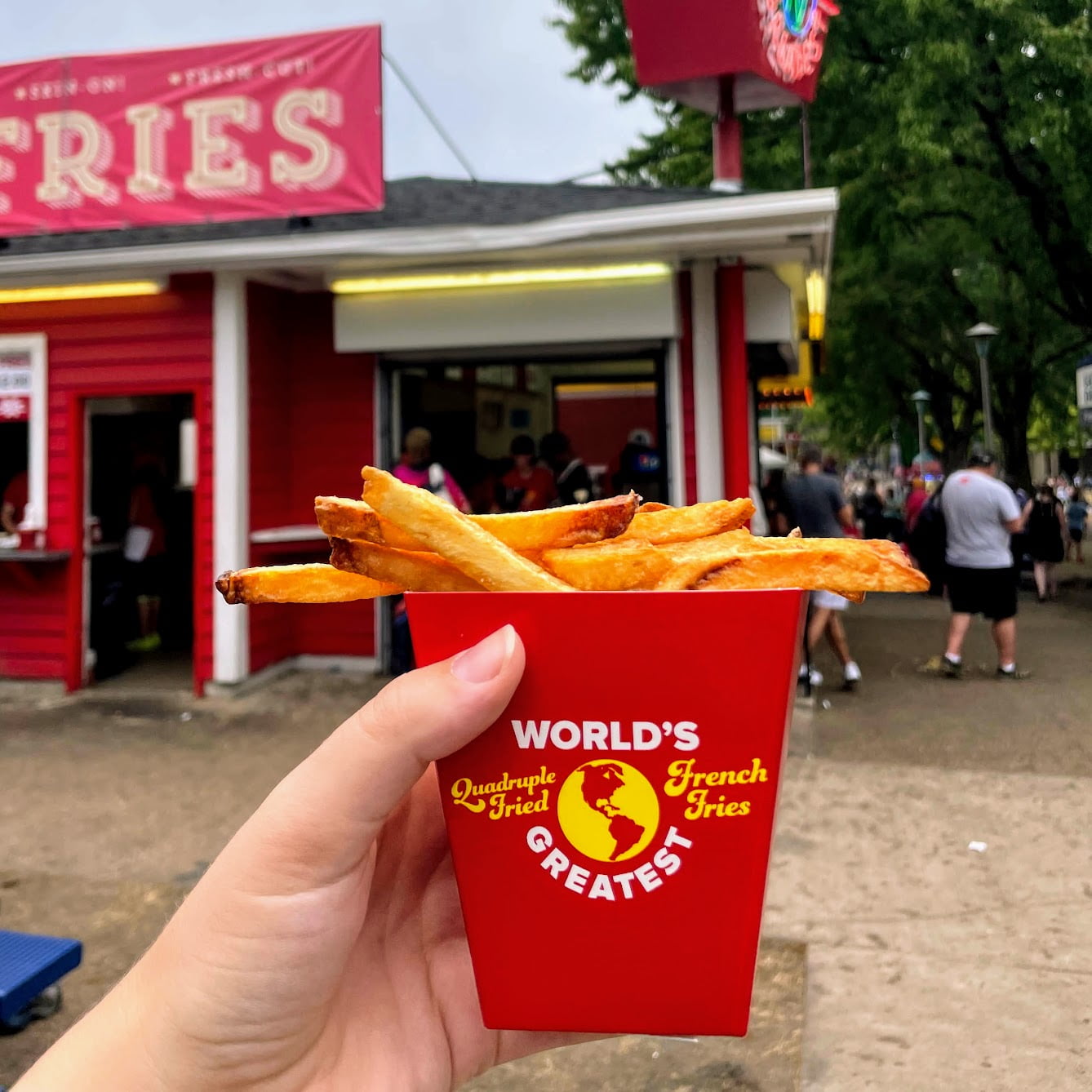 French Fries Minnesota State Fair Andrea Abroad