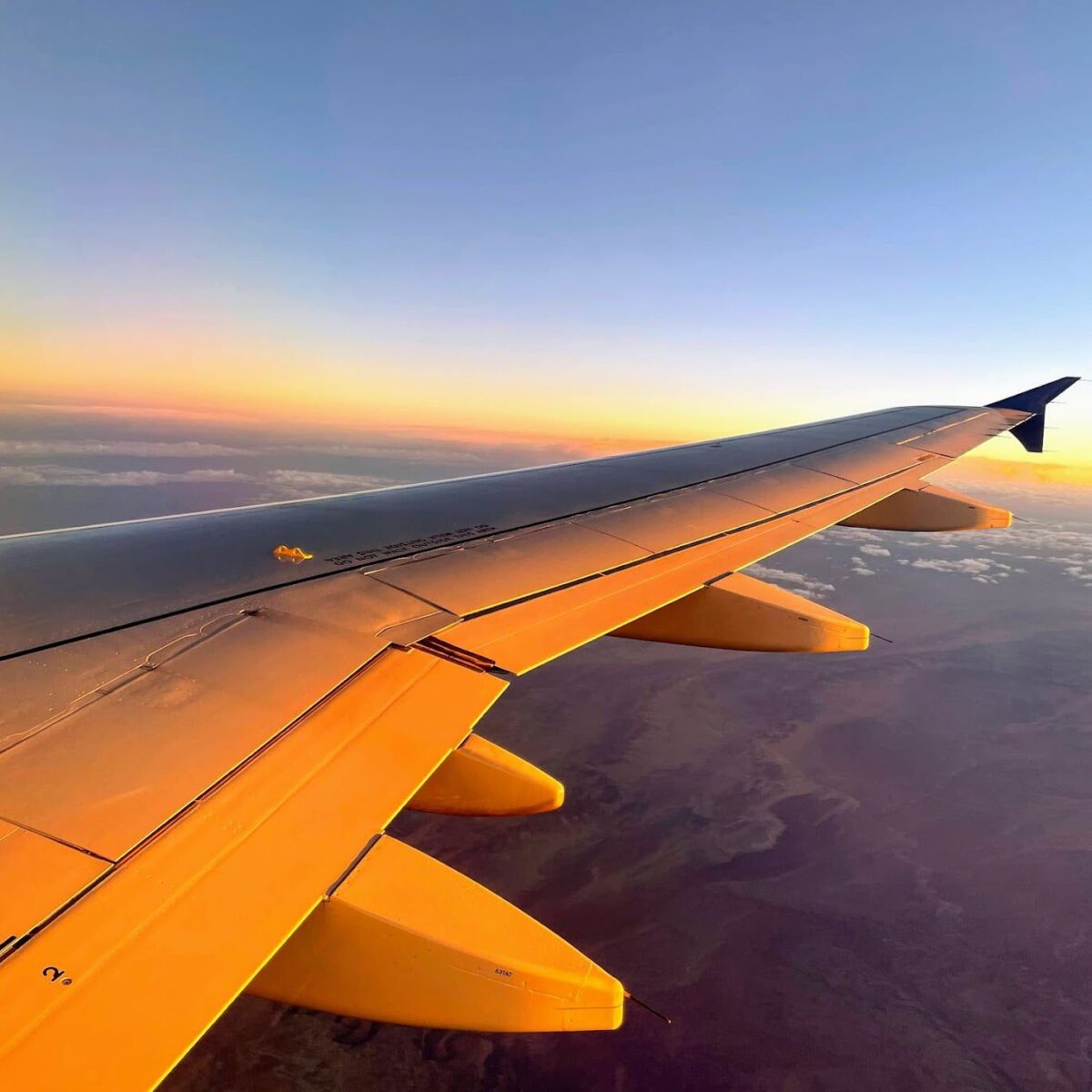 Andrea Abroad Airplane