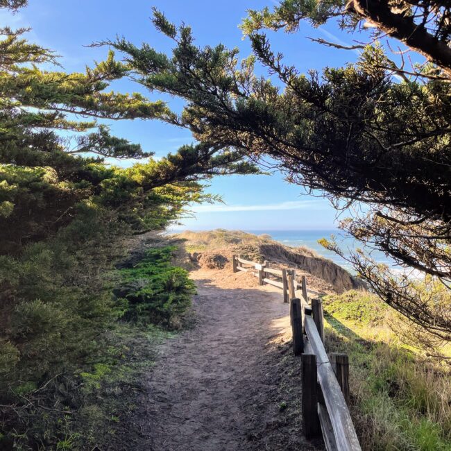 Gualala Hiking
