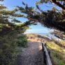 Gualala Hiking