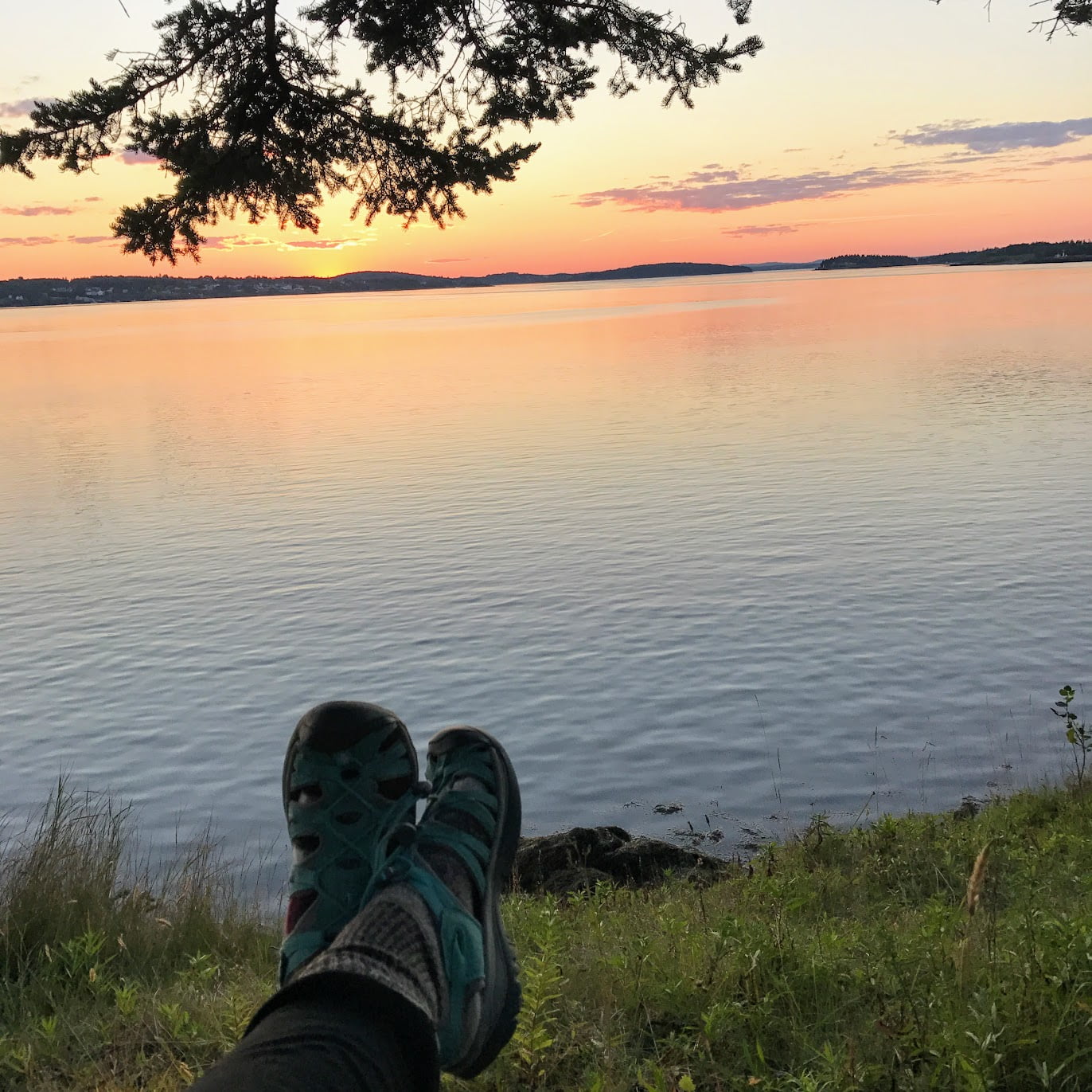 Maine Sunset