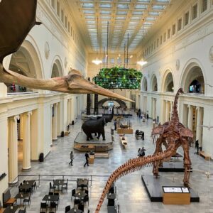 Field Museum