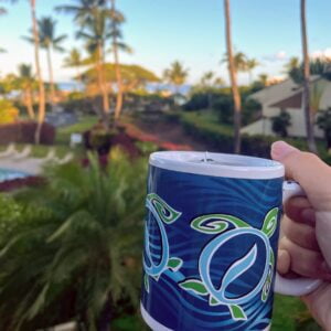 Kihei airbnb