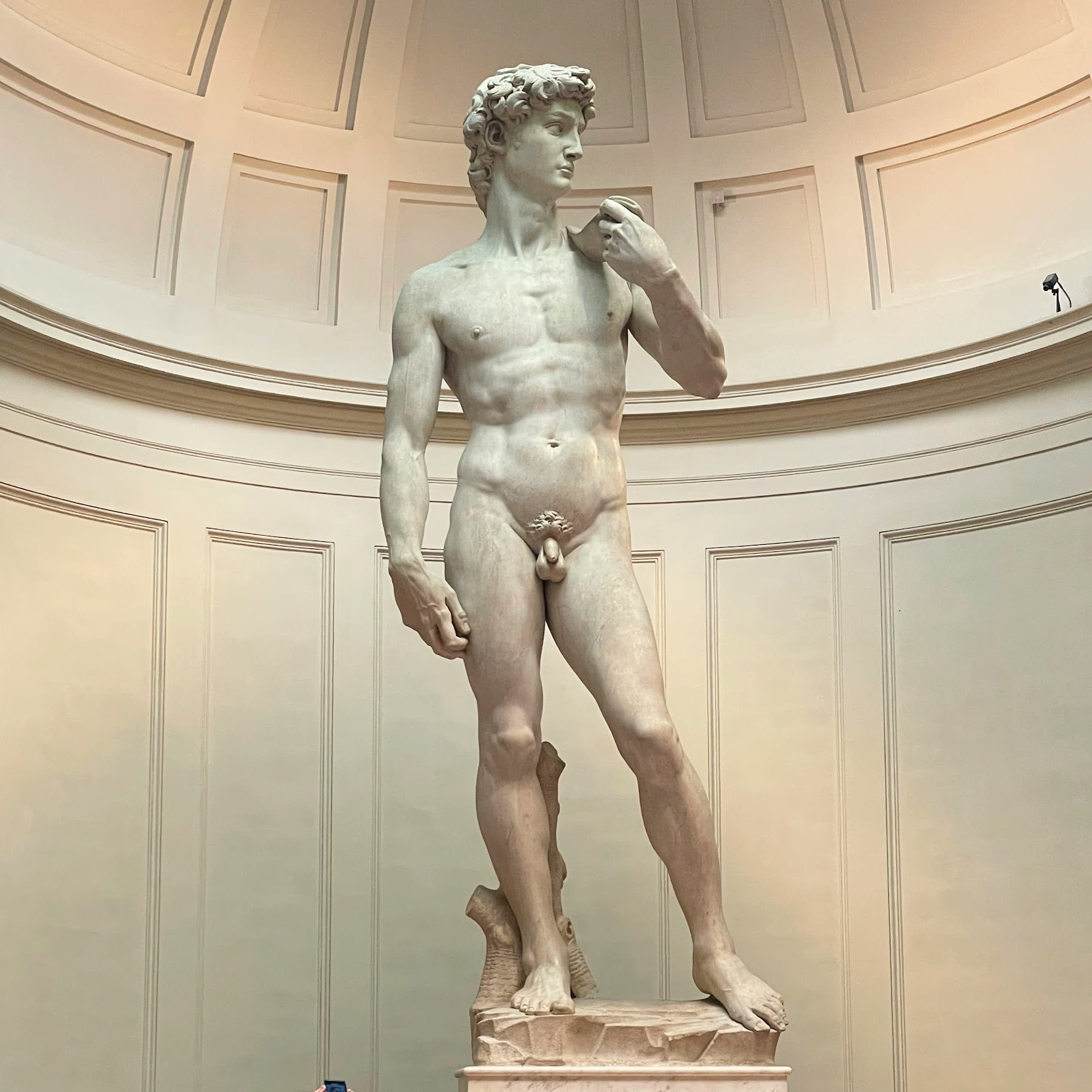 Accademia Michelangelo's David