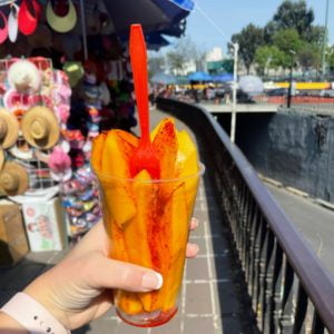 Mexico City Mango