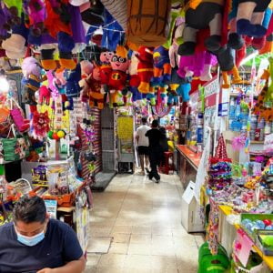 Coyocan Market