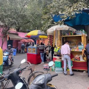 Delhi Streets
