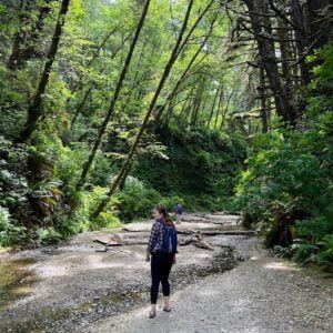 Fern Canyon