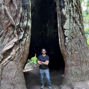Lady Bird Johnson Grove