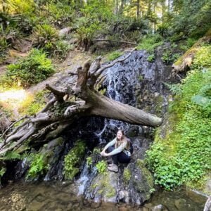 Boy Scout Tree Trail