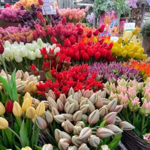 Floating Flower Market Amsterdam