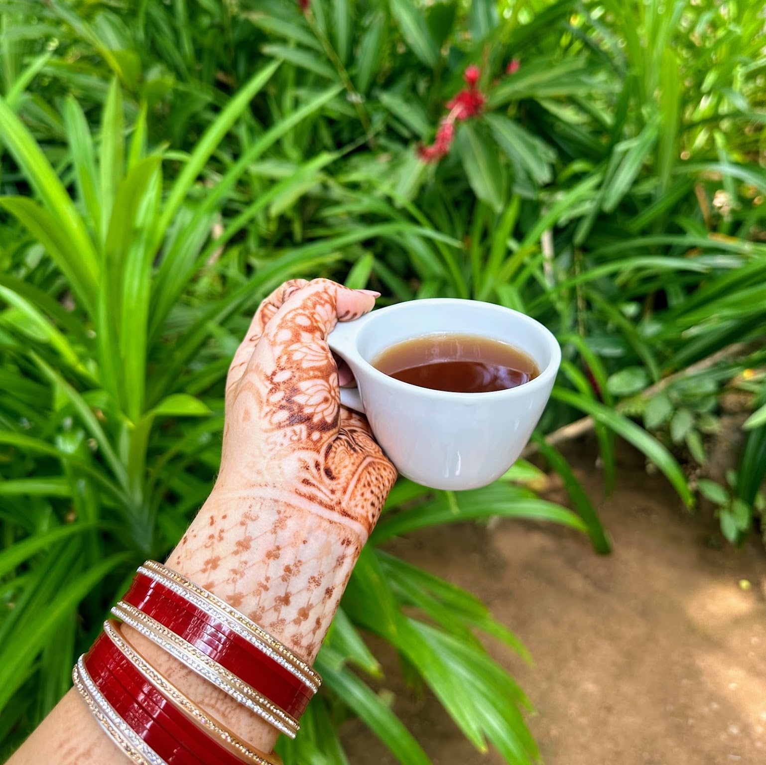spice garden sri lanka