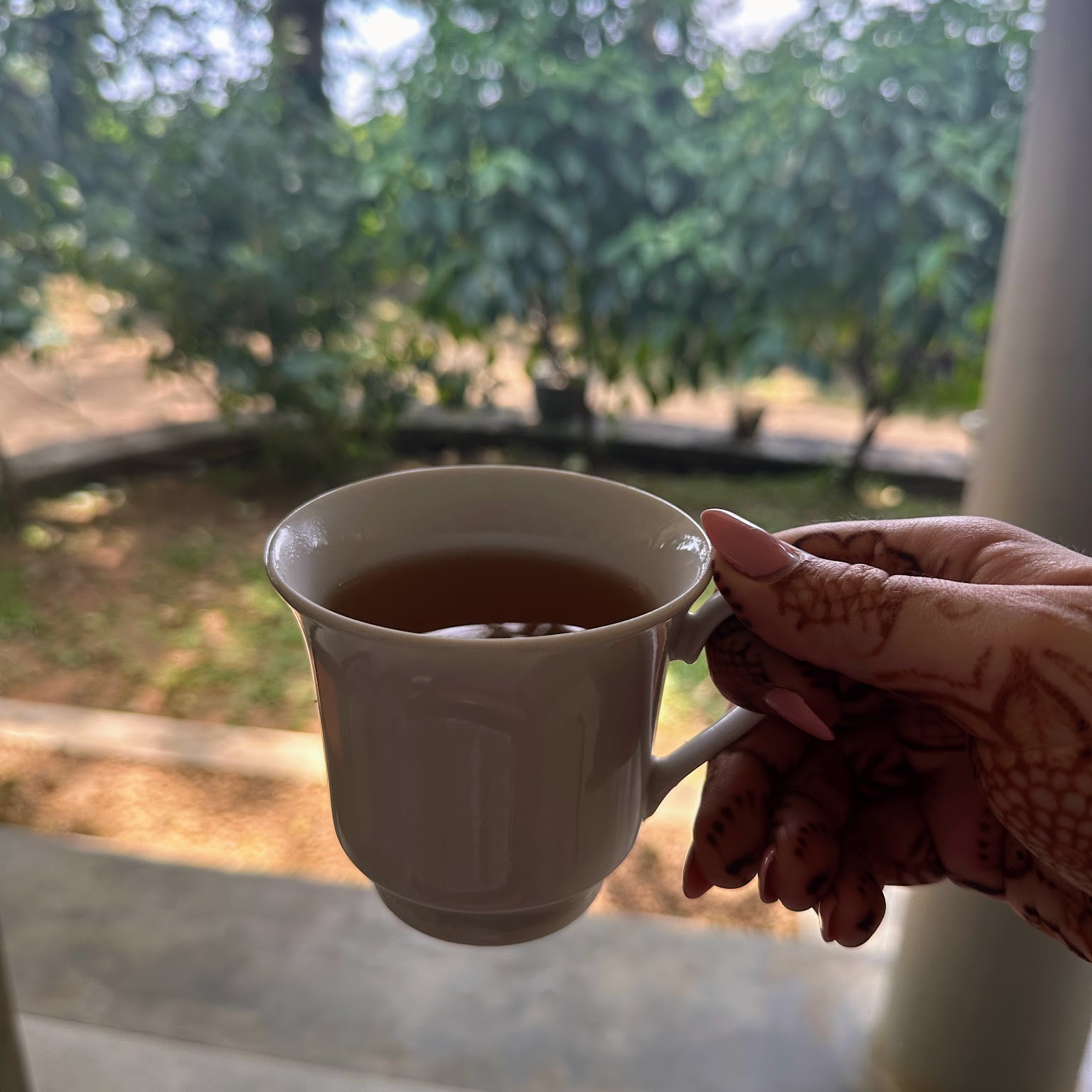 Tea Estate Sri Lanka