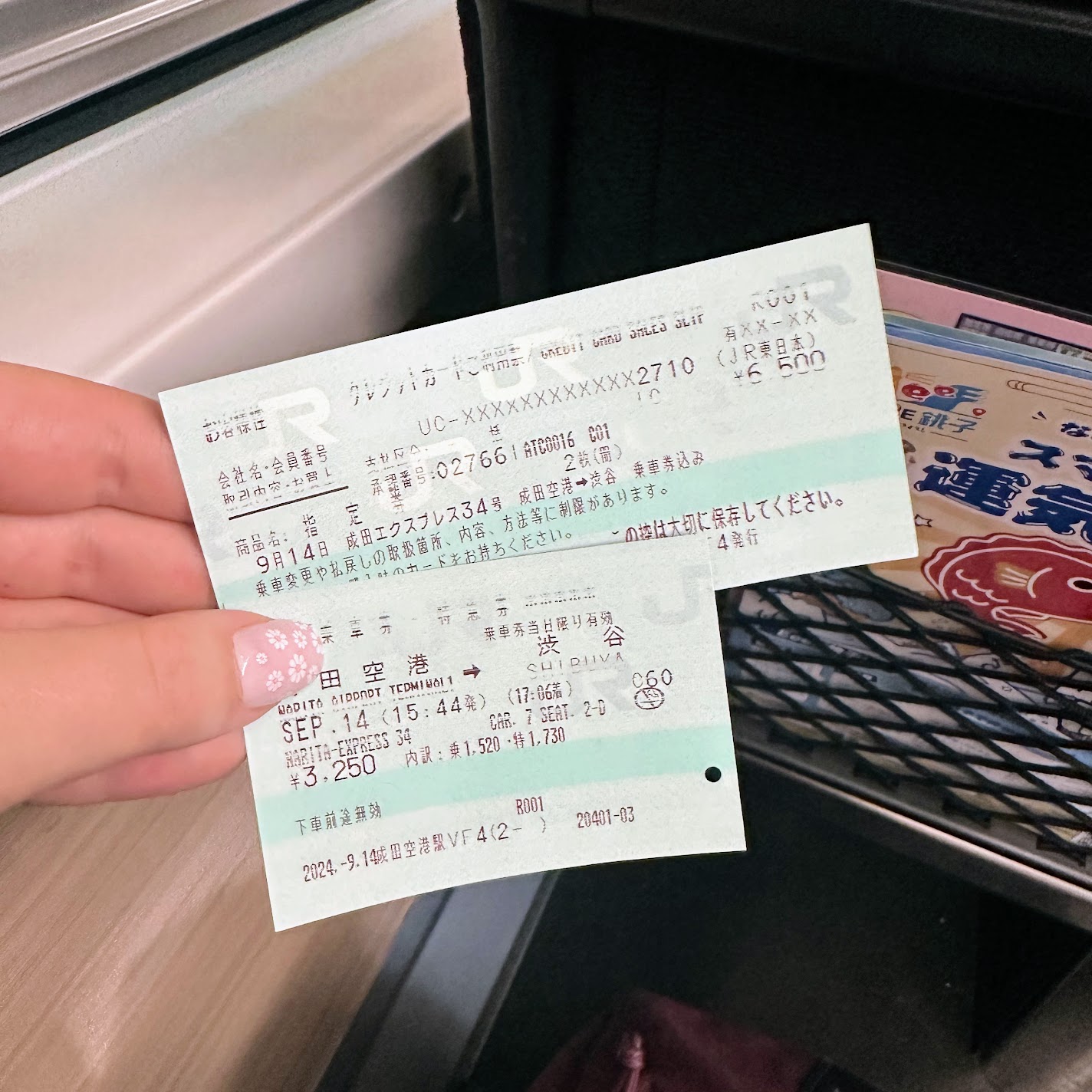 Narita Express Ticket