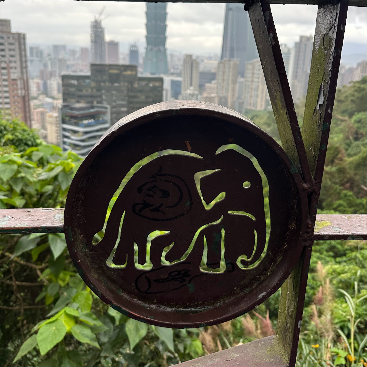 Elephant Mountain Hike