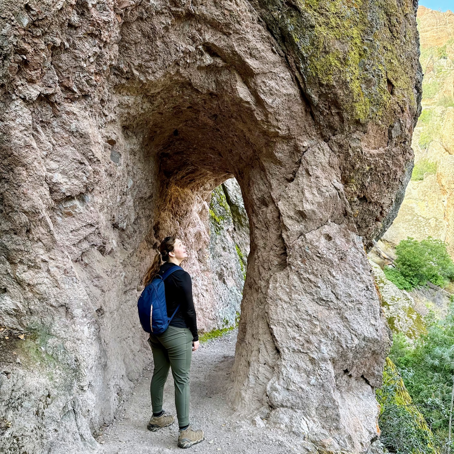 Pinnacles National Park