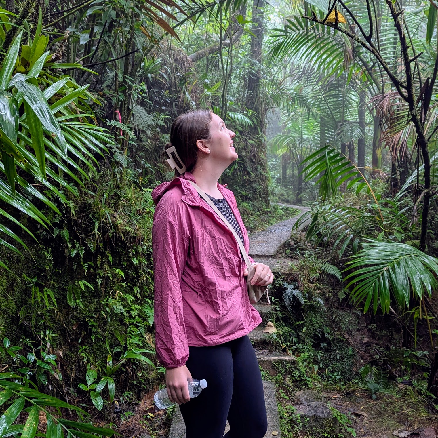 El Yunque Rainforest