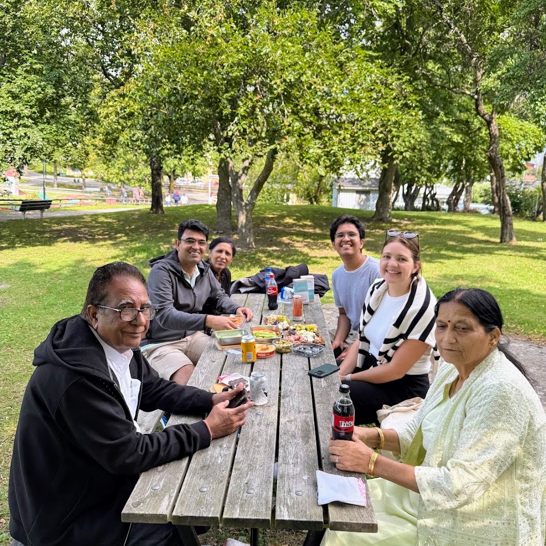 family enjoying a picnic in the park