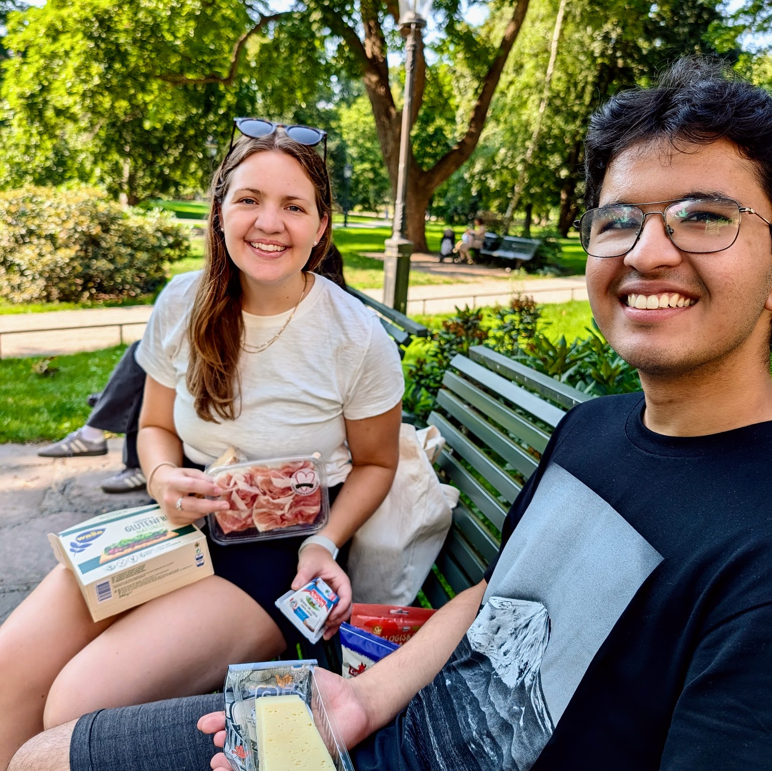 stockholm park picnic
