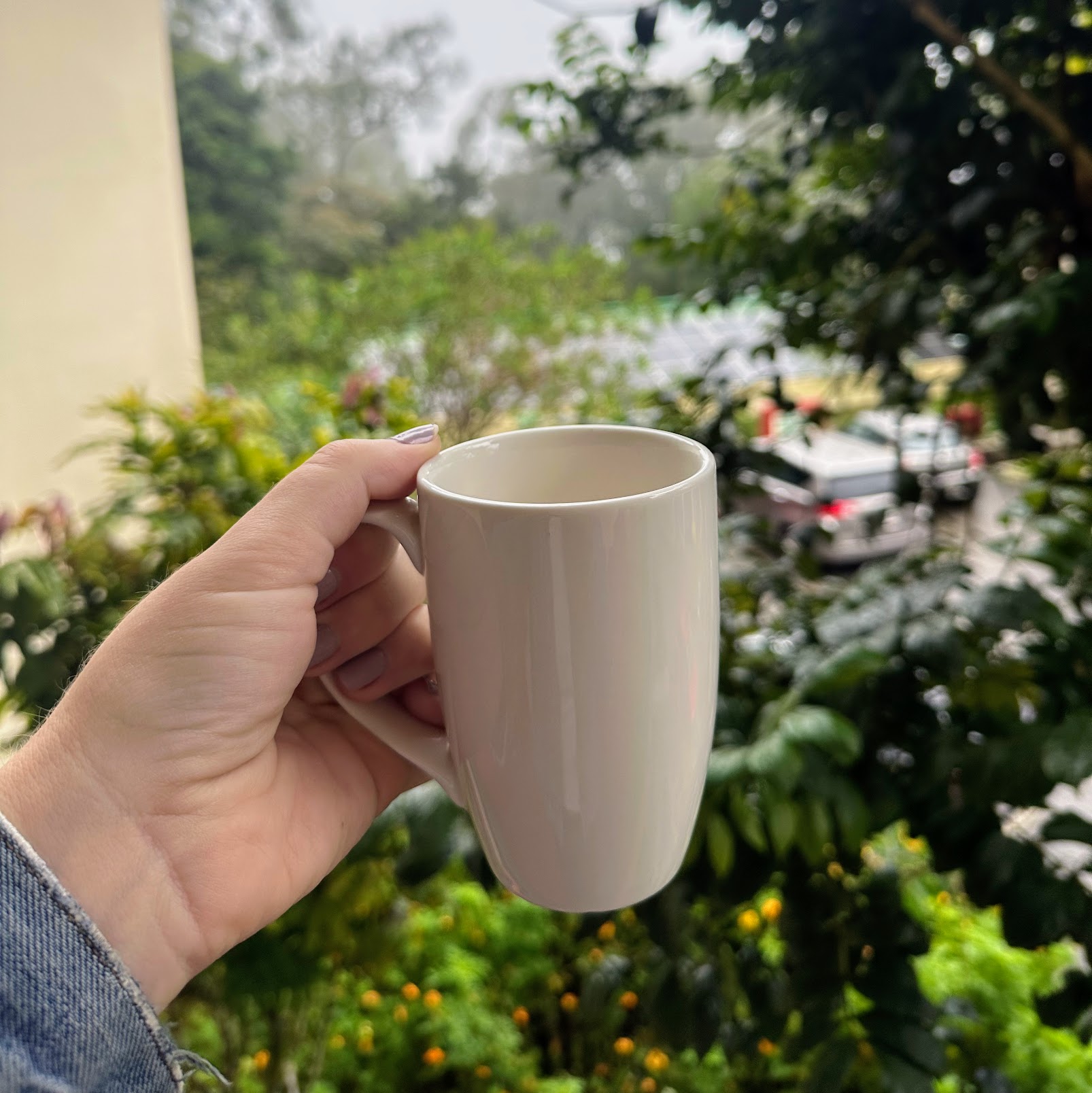 Club Mahindra Mount Serene