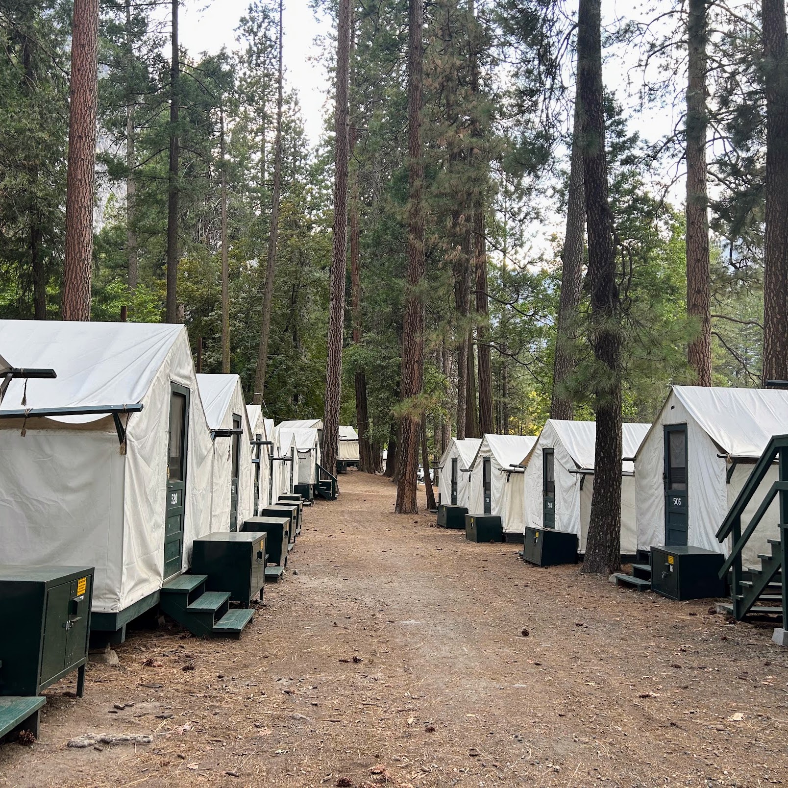 Curry village Yosemite Curry village Yosemite