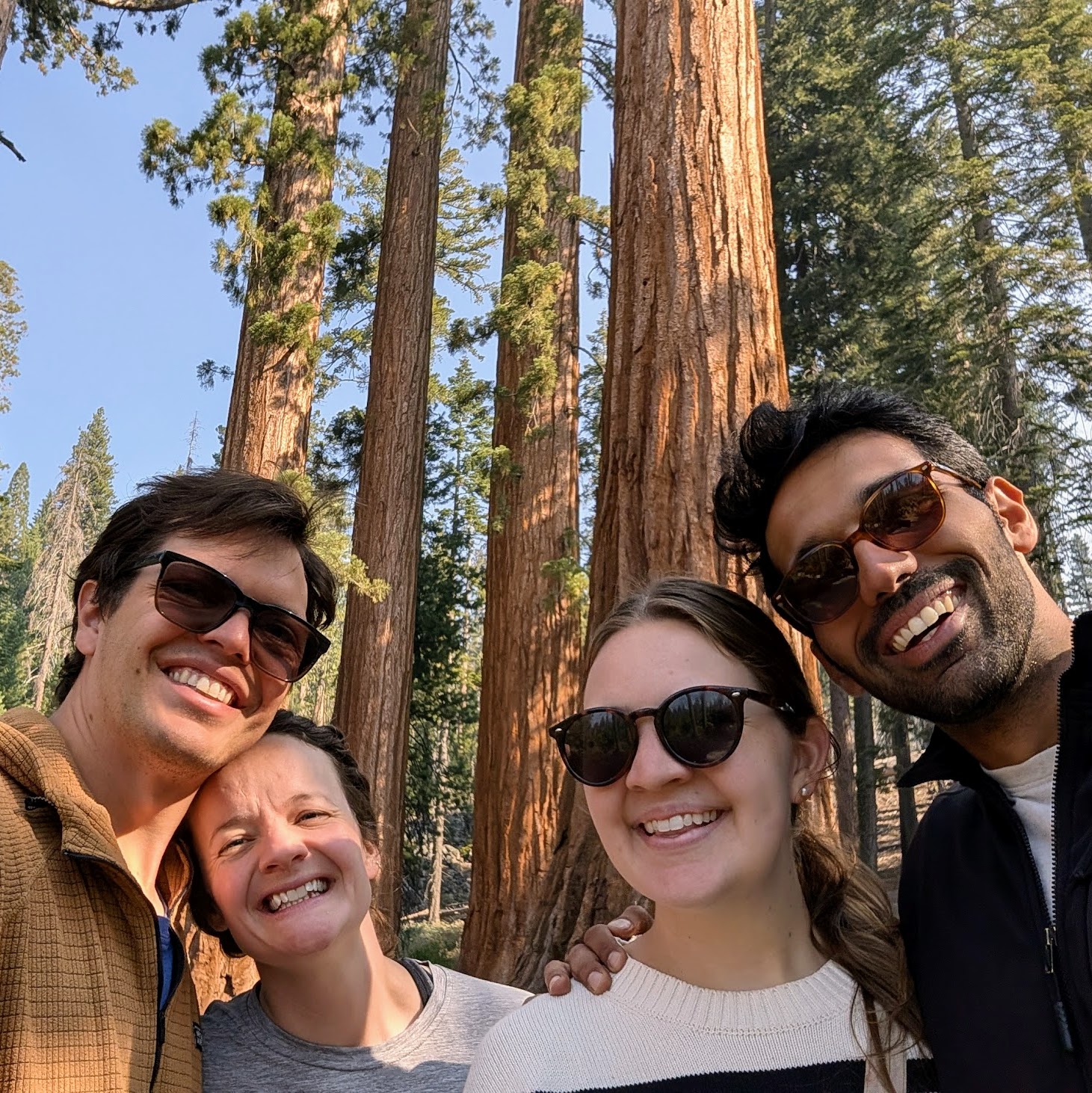 mariposa grove mariposa grove