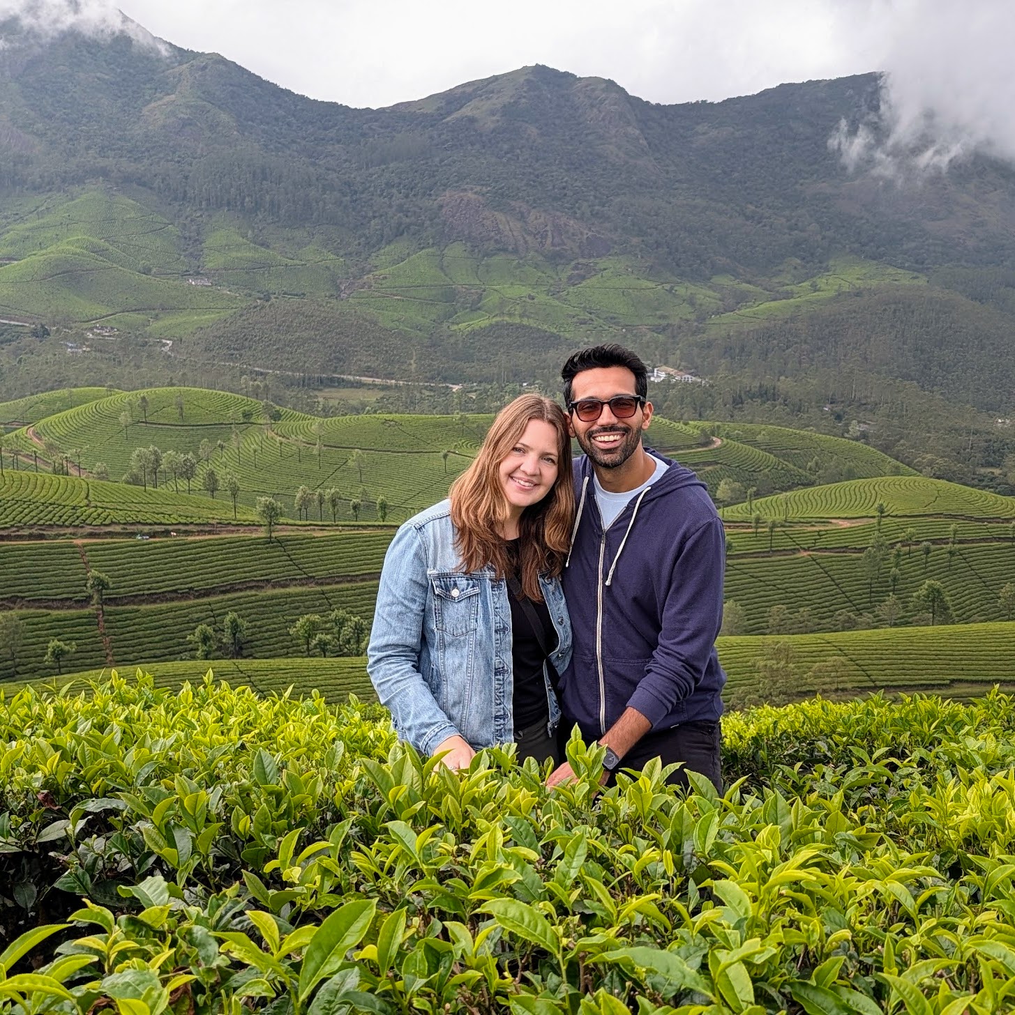 Tea plantation munnar