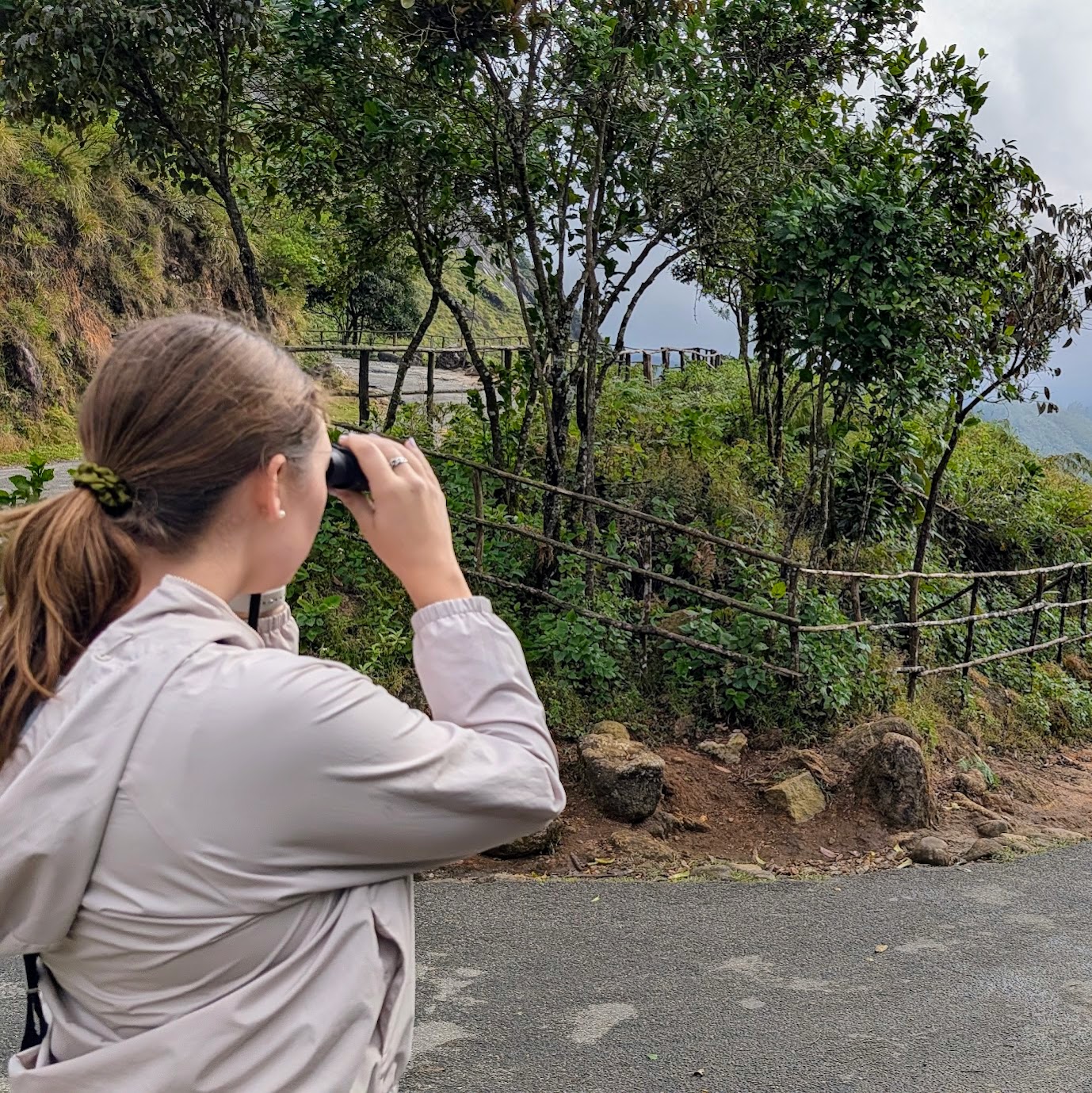 Eravikulam National Park