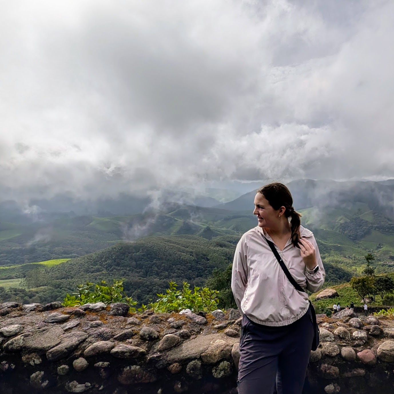Eravikulam national park
