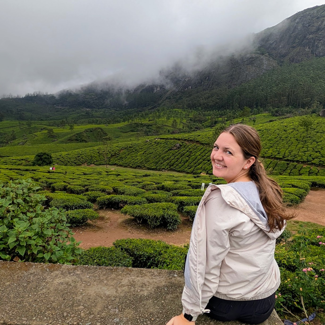 munnar tea plantations