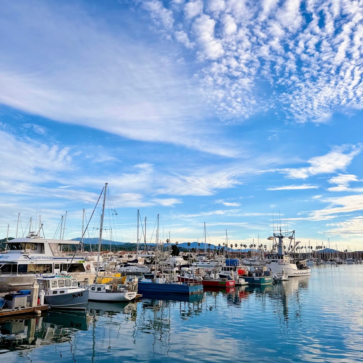 ventura harbor ventura harbor